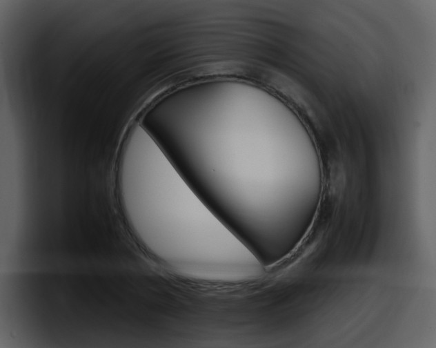X0000098100786200804040745