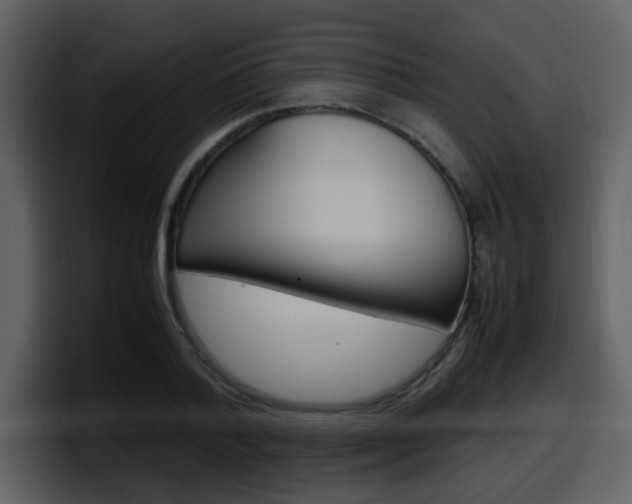 X0000098100788200804040745