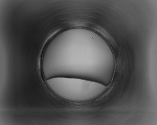 X0000098100790200804040745