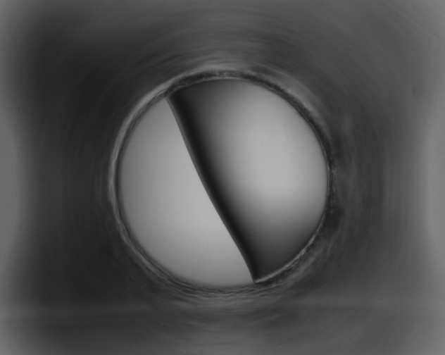 X0000098100791200804040745