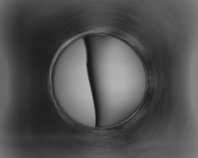 X0000098100792200804040745