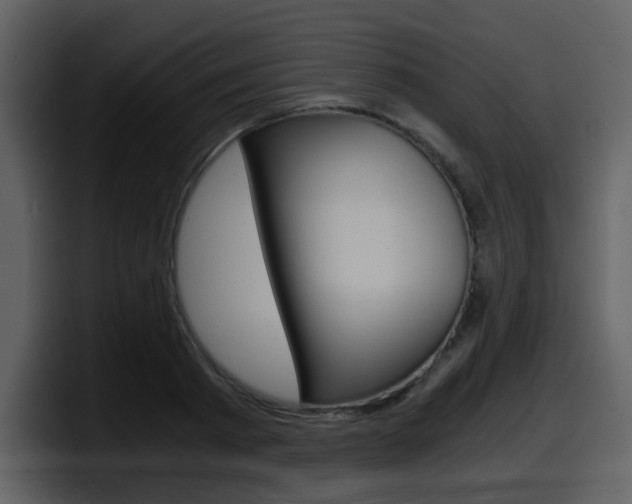 X0000098100793200804040745