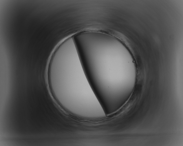 X0000098100795200804040745