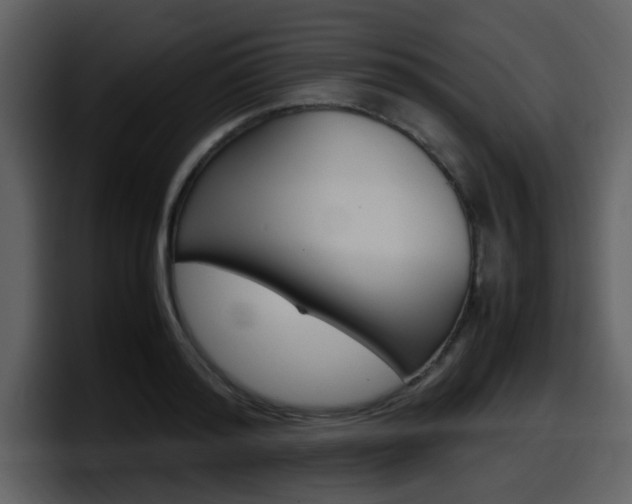X0000098100796200804040745