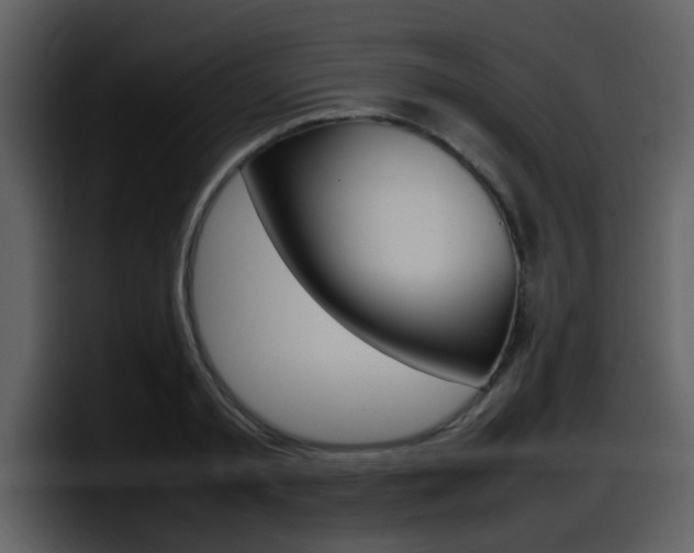 X0000098100797200804040745
