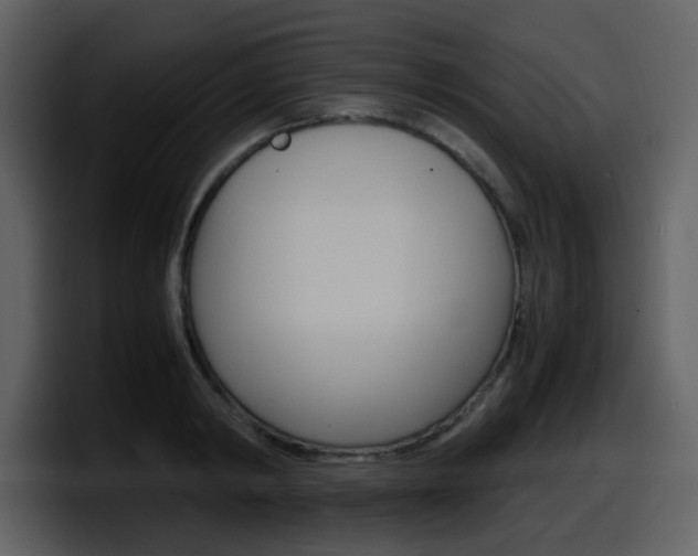 X0000098100798200804040745