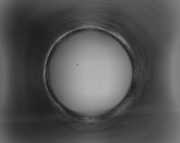 X0000098100799200804040745
