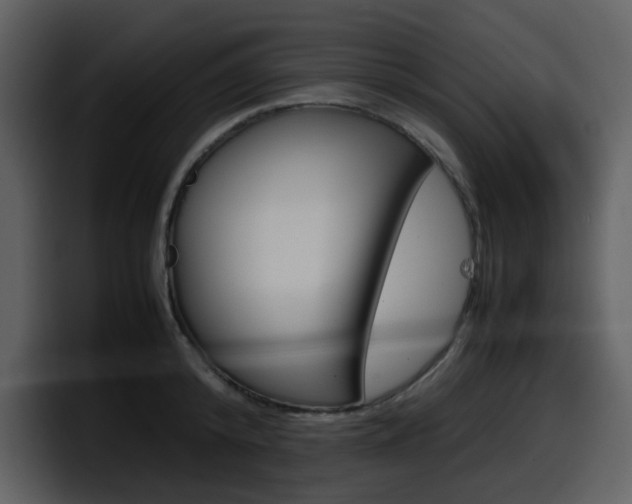 X0000098100800200804040745