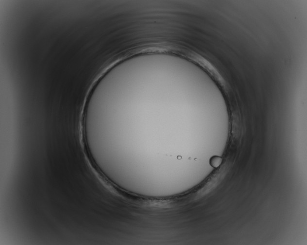 X0000098100802200804040745