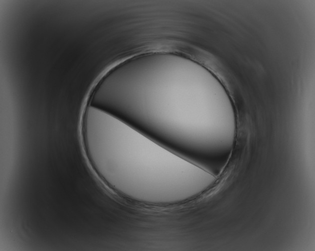 X0000098100803200804040745