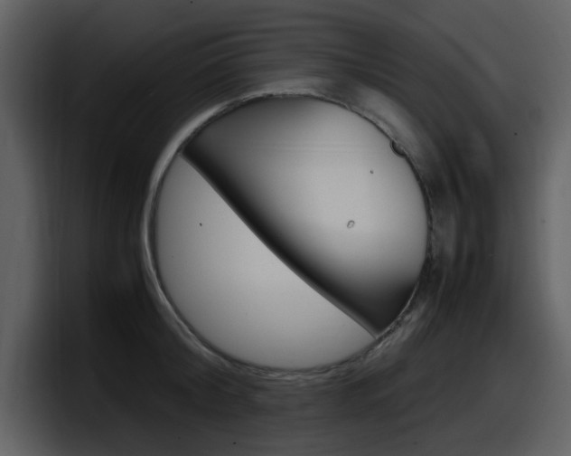 X0000098100804200804040745