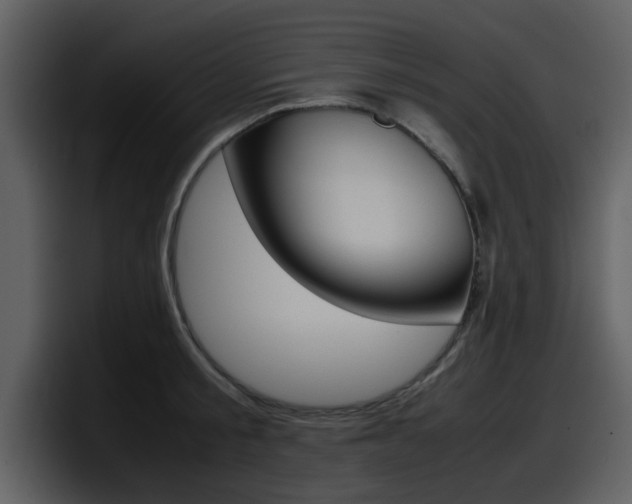 X0000098100805200804040745