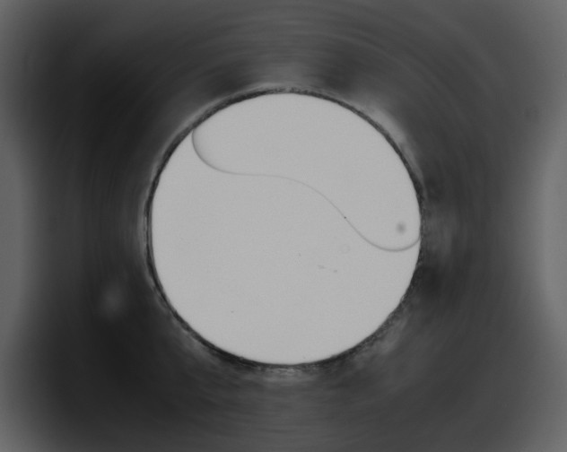 X0000098100807200804040745