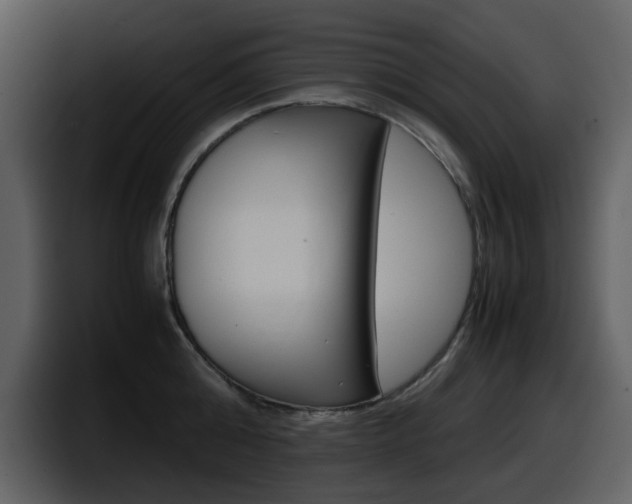 X0000098100808200804040745