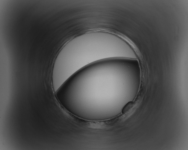 X0000098100809200804040745
