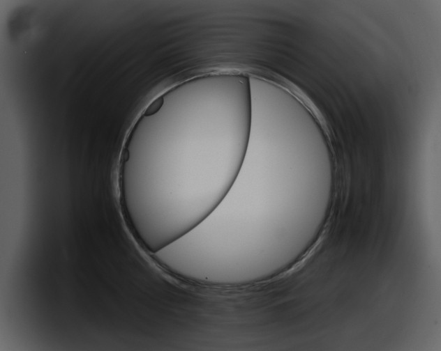 X0000098100810200804040745