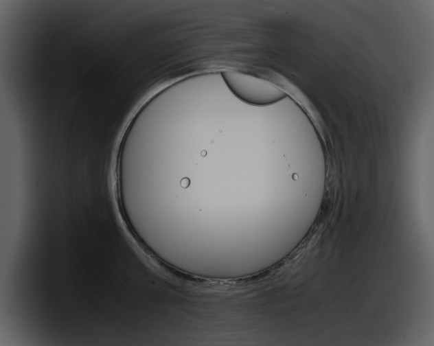 X0000098100811200804040745