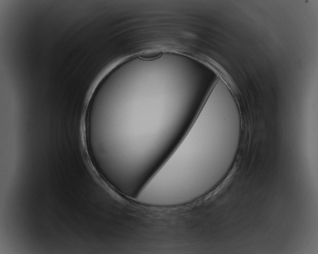 X0000098100812200804040745