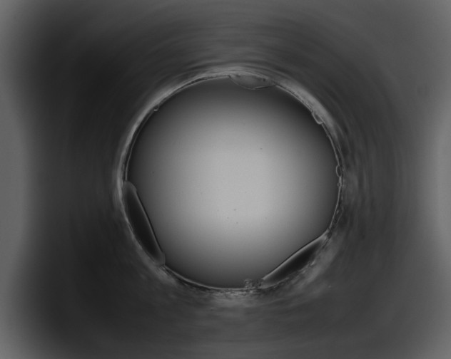 X0000098100813200804040745