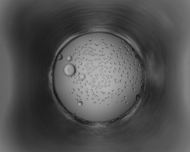 X0000098100814200804040745