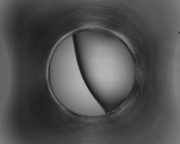 X0000098100815200804040745