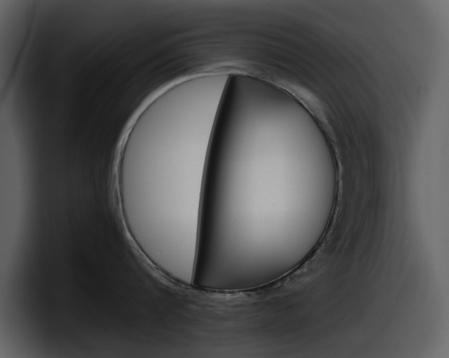 X0000098100816200804040745