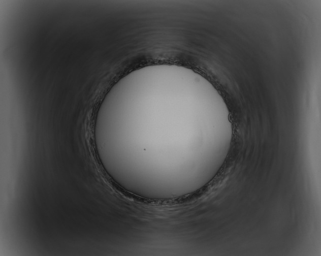 X0000098100817200804040744