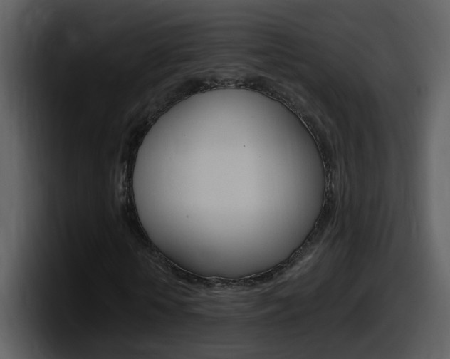 X0000098100818200804040744