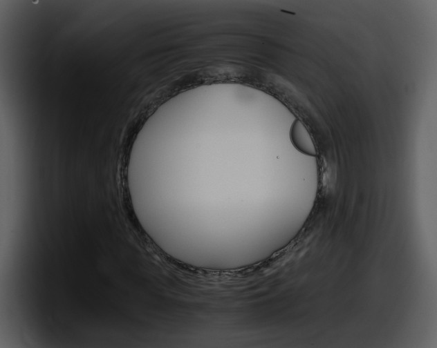 X0000098100819200804040744