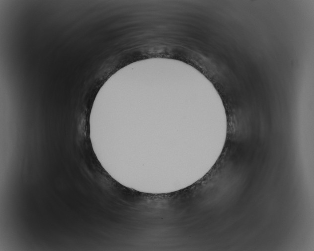 X0000098100820200804040744