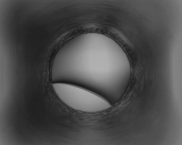 X0000098100821200804040744