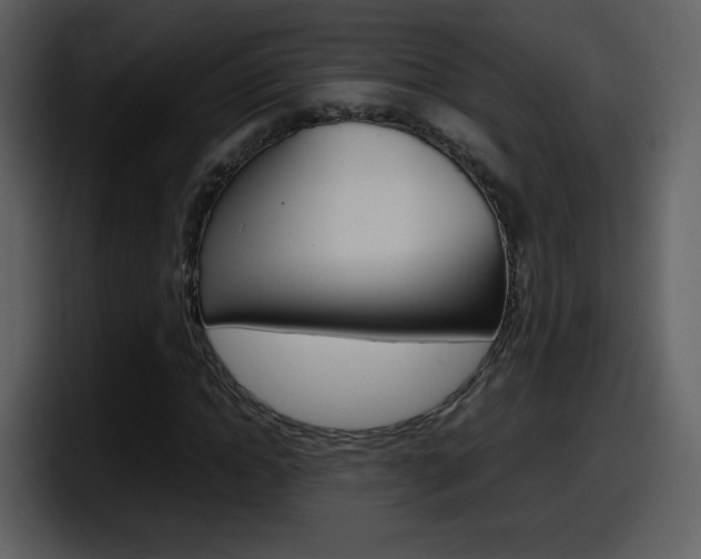 X0000098100822200804040744
