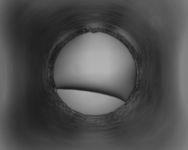 X0000098100823200804040744