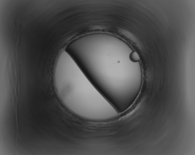X0000098100825200804040744