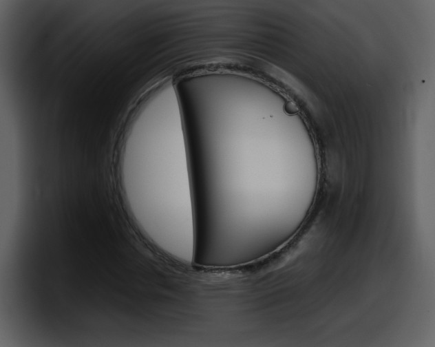 X0000098100826200804040744
