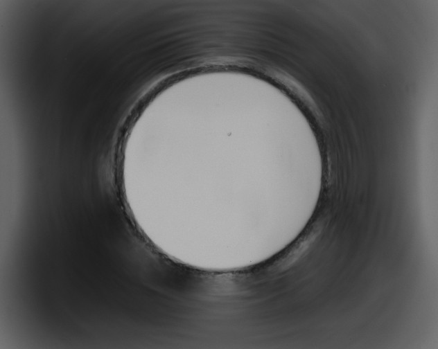 X0000098100828200804040744