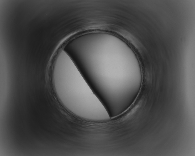 X0000098100830200804040744