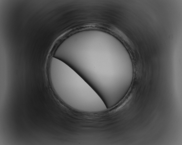 X0000098100831200804040744