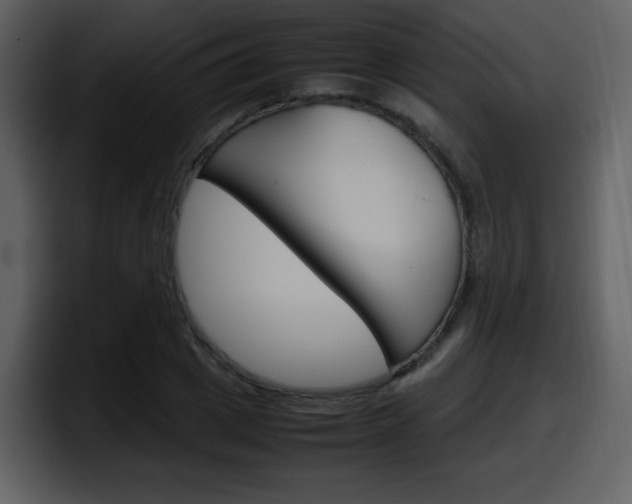X0000098100833200804040744