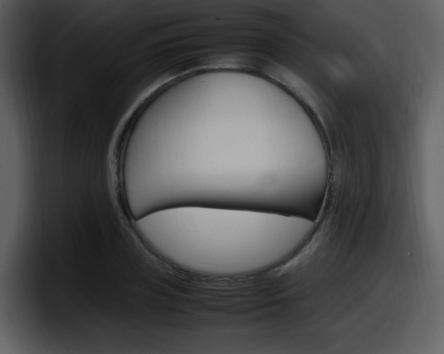 X0000098100835200804040744
