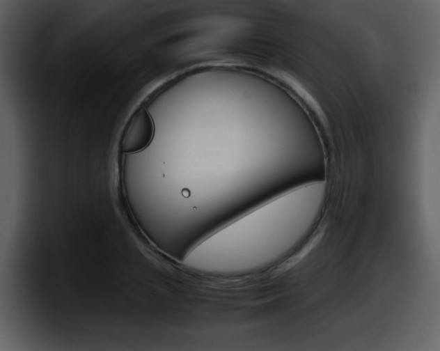 X0000098100837200804040744