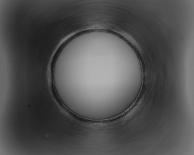X0000098100838200804040744
