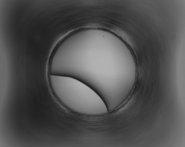 X0000098100839200804040745