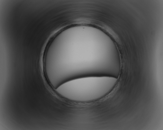 X0000098100840200804040745