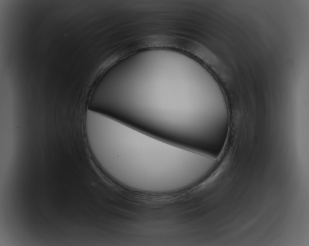 X0000098100841200804040745