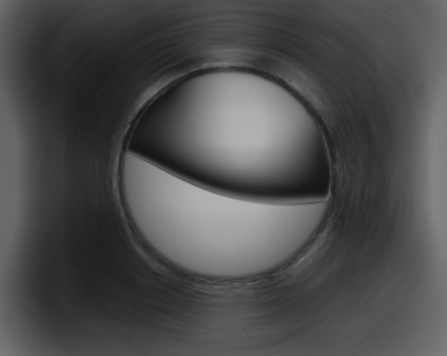 X0000098100842200804040745