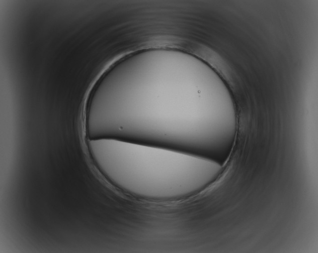 X0000098100844200804040745