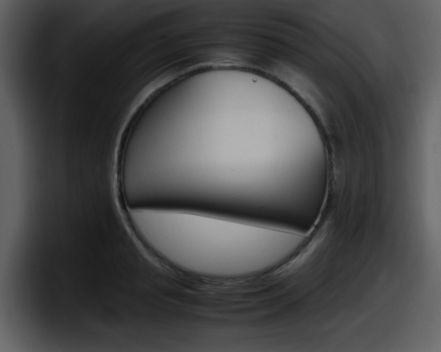 X0000098100845200804040745