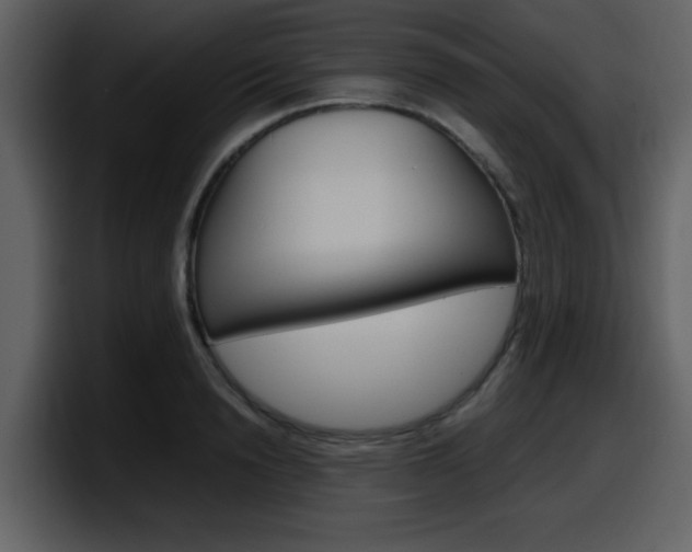 X0000098100846200804040745