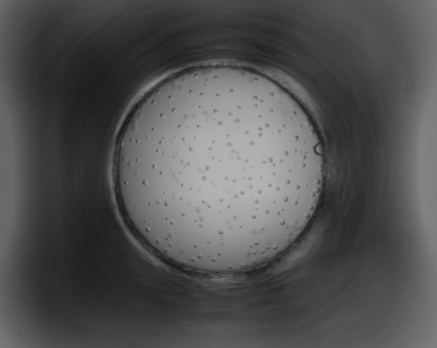 X0000098100847200804040745